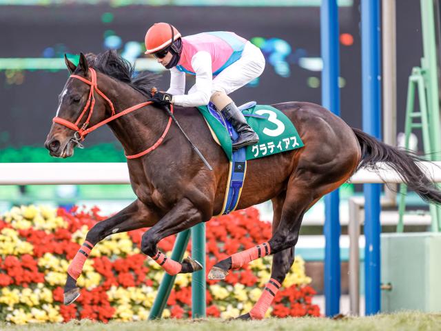 21年京成杯の覇者グラティアスが登録抹消 今後は乗馬に