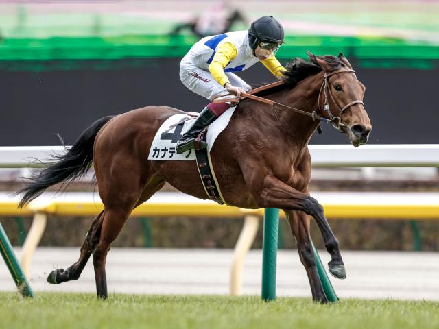 【関屋記念予想】ワンターンのサマーマイルシリーズ第2戦 瞬発力が求められる戦い