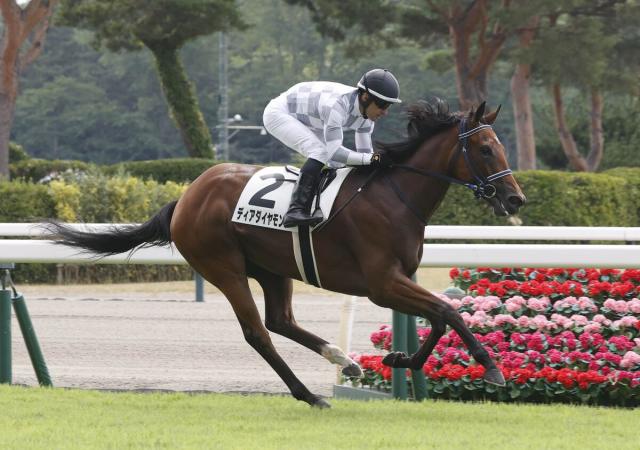 【新潟1R・2歳未勝利】ディアダイヤモンドが上がり32秒9で7馬身差圧勝　ルメール騎手「マイルちょうどいい」