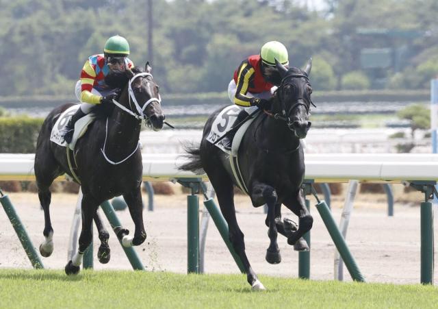【新潟2R・2歳未勝利】期待の良血ゾロアストロが2馬身半差の快勝　ルメール騎手「能力があるので楽しみ」