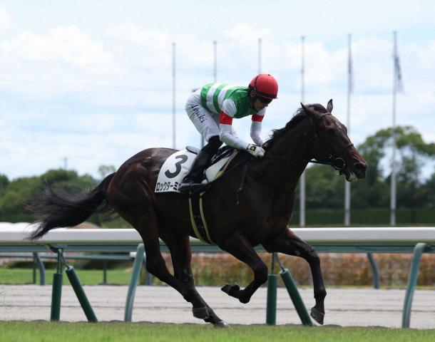【中京3R・新馬戦】ロックターミガンが初陣V「一瞬で伸びてくれた」幸