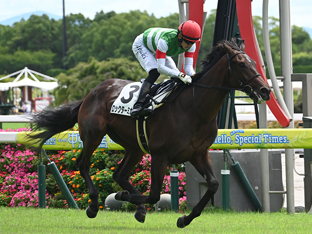 【中京3R新馬戦結果】シスキン産駒ロックターミガンが3馬身差で快勝