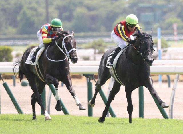 【新潟2R・2歳未勝利戦】単勝1・1倍のゾロアストロ2戦目で初白星　馬単130円はJRA馬単最低配当