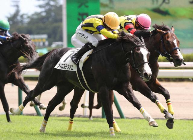 【新潟3R・新馬戦】2番人気の良血馬フィロステファニが差し切り　半兄は23年皐月賞馬ソールオリエンス