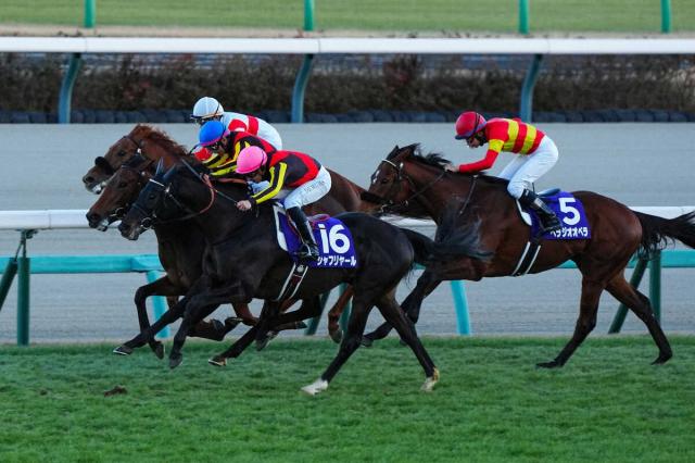有馬記念公開枠順抽選会を12月25日(木)に実施　テレビで生中継　JRAが秋季競馬番組を発表
