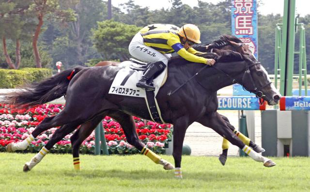 【新潟3R・2歳新馬】皐月賞馬の半妹フィロステファニが初陣飾る　キング騎手「能力は高い」