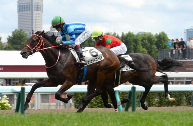 【札幌5R・新馬戦】断然人気のサンセットゴールドが勝利　矢作師「優等生の競馬でした」