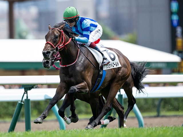 【札幌5R新馬戦結果】キズナ産駒サンセットゴールドが人気に応えてV