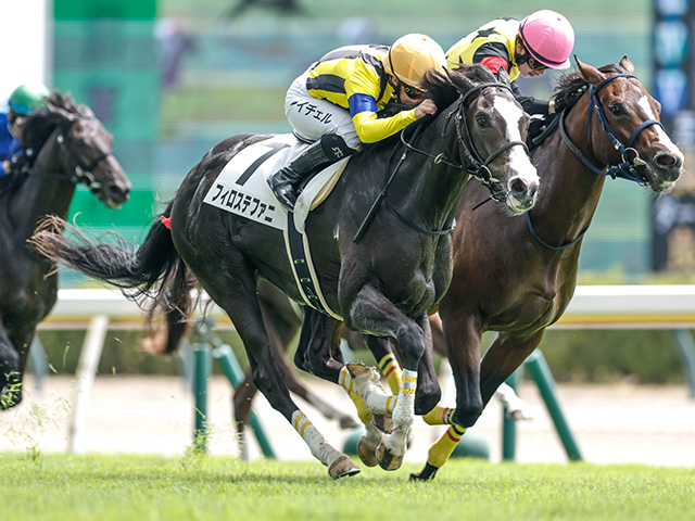 【新潟3R新馬戦結果】フィロステファニが叩き合いを制してV 兄はソールオリエンス