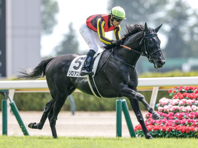 【2歳未勝利新潟2Rレース後コメント】ゾロアストロ C.ルメール騎手ら
