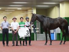 【中古】 ＰＯＧ（ペーパーオーナーゲーム） ’９９/競馬通信新社/競馬通信社 楽天市場】POGの通販