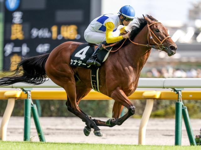 【関屋記念・馬体重】カナテープは482kg(-2)、ボンドガールは456kg(±0)