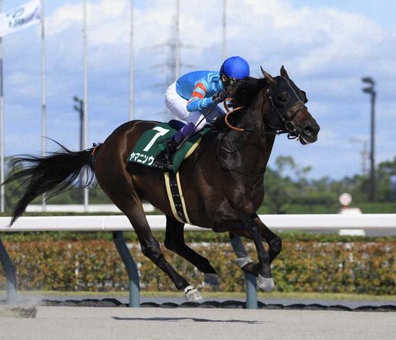 【東海S】ヤマニンウルス　武豊を背に1年ぶり復活V　斉藤崇史厩舎は“3連覇”