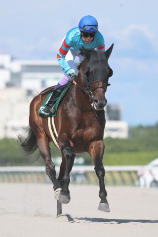 【東海S】復活ヤマニンウルスが“連覇”達成　武豊騎手は歴代最多タイの3勝目