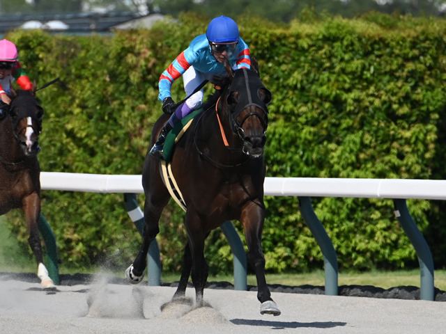 【JRA・WIN5】本日のWIN5は的中1929票、配当26万4040円