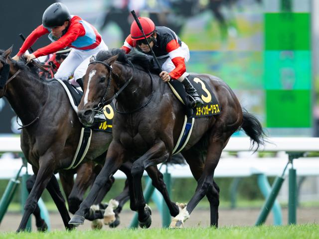 【札幌日経賞結果】スティンガーグラスが差し切りオープン初勝利
