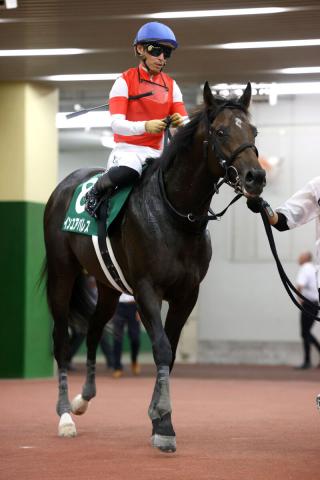 【東海S】インユアパレスがゴール前で力強く伸びて2着　川田将雅騎手「しっかり能力を出し切ってくれました」