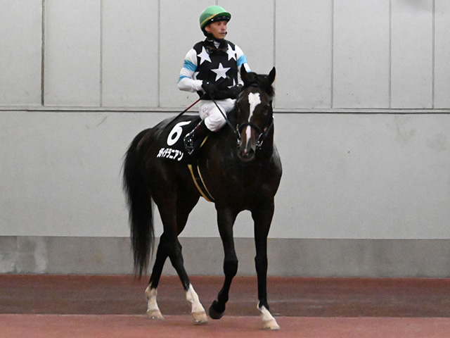 【御在所特別レース後コメント】メディテラニアン A.バデル騎手ら