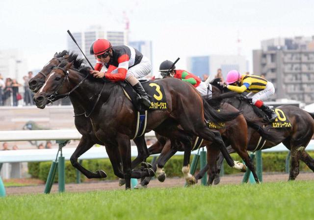 【札幌日経賞】1番人気スティンガーグラスが反撃V