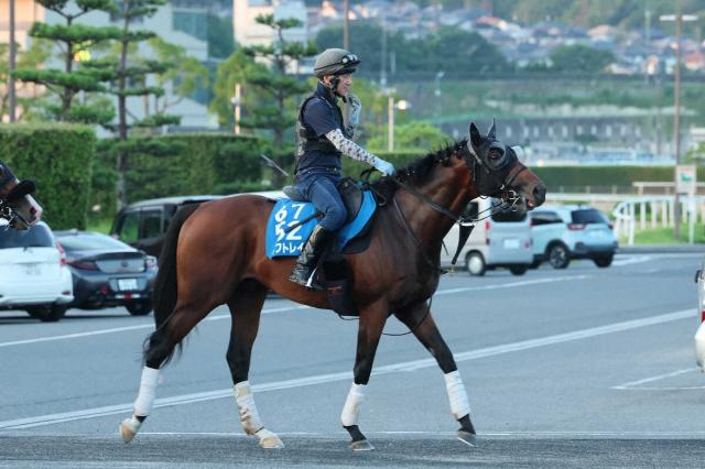 【関屋記念】オフトレイルは2着同着　菅原明「折り合いもついて、脚を使ってくれました」