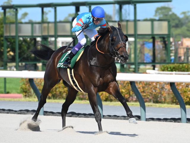 【東海S結果】武豊騎手騎乗のヤマニンウルスが3馬身半差で完勝！ 復活の重賞2勝目！
