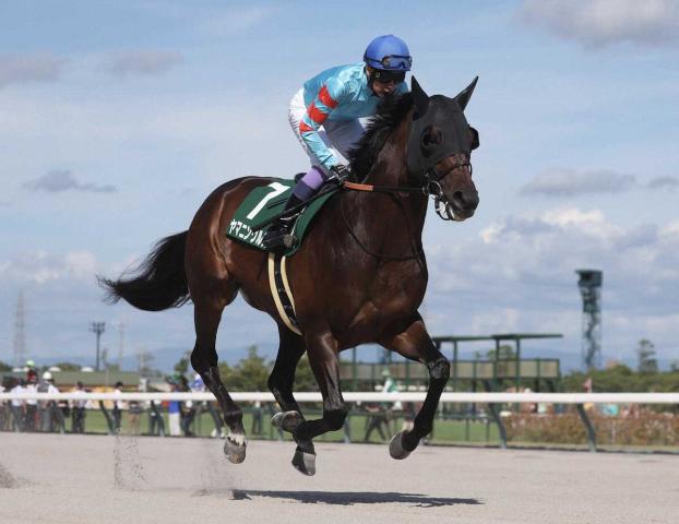 【東海S】ヤマニンウルス復活!1年ぶり重賞2勝目　武豊「ようやく戻った」