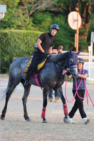 【アイビスSD】夏巧者テイエムスパーダ　適性高い千直で重賞3勝目狙う