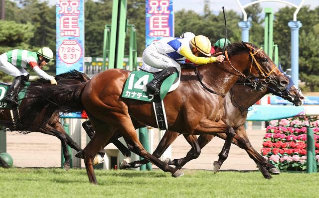 【関屋記念】またキング姐さん!カナテープ重賞初V　圧巻コースレコード1分31秒0