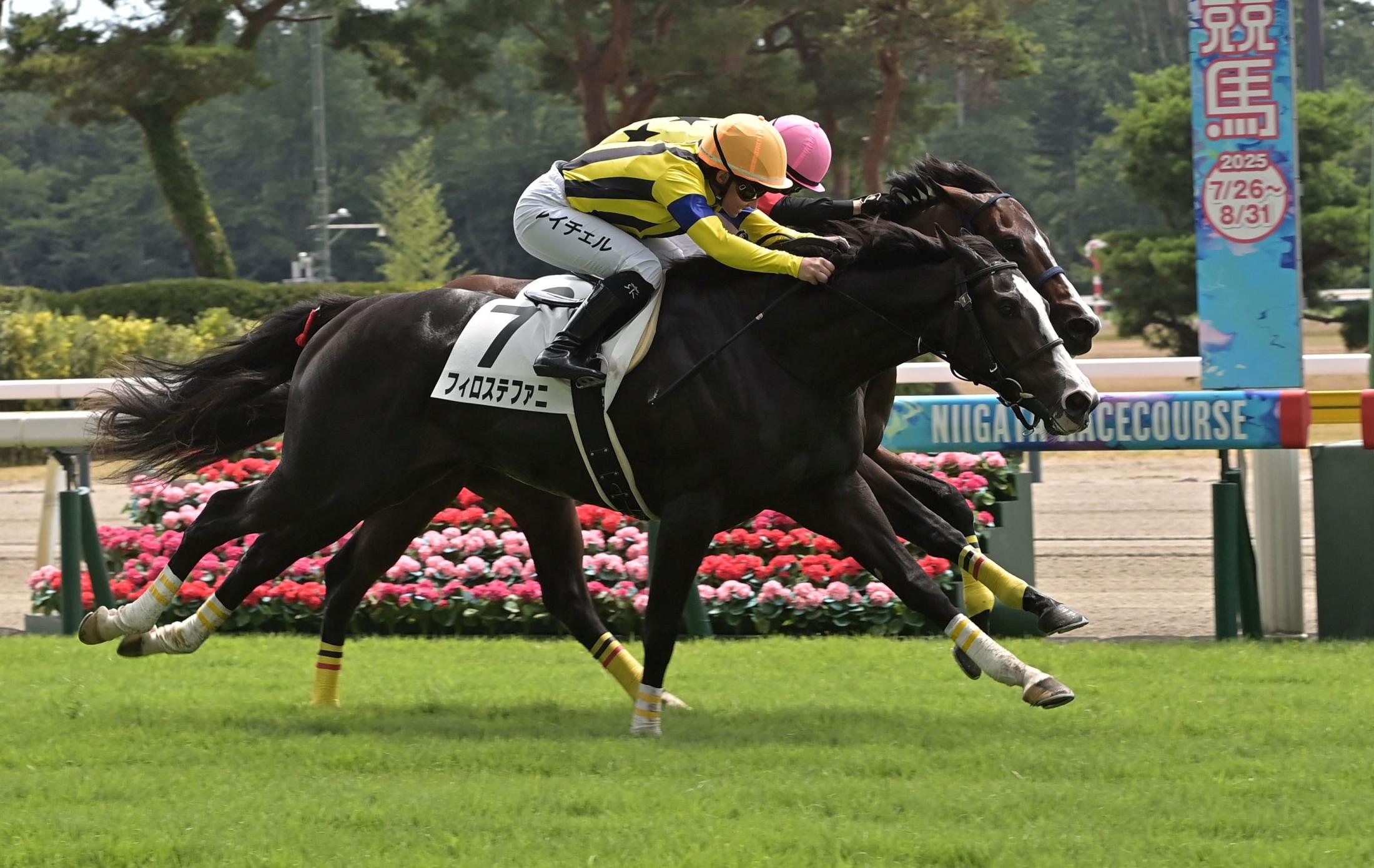 【新馬戦】フィロステファニ　追い比べ首差制した　中内田師「いい教育ができた競馬でした」
