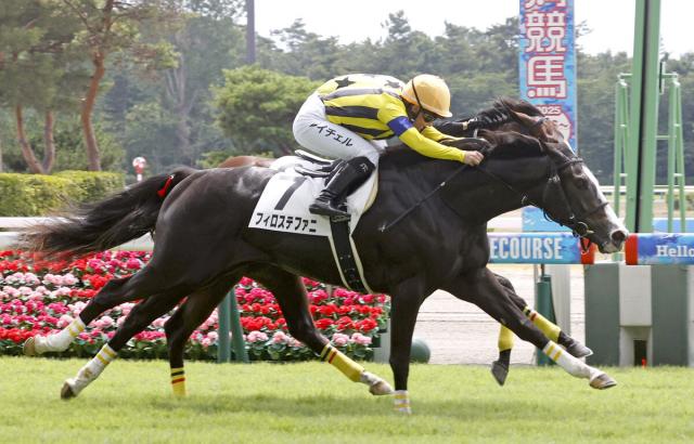 【新潟3R・2歳新馬戦】皐月賞馬ソールオリエンスの半妹フィロステファニ初陣Vもキング騎手「まだ競馬のことが分かっていないところが多かった」