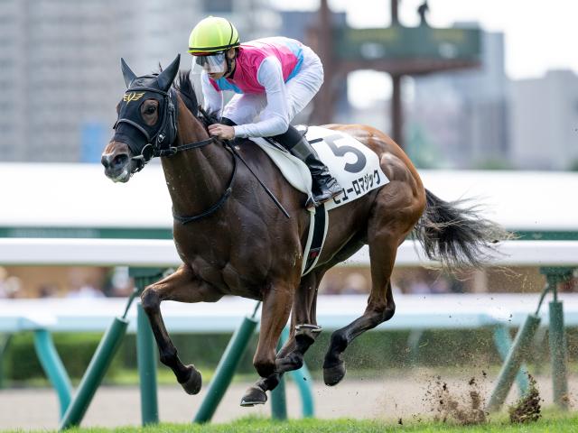 【アイビスSD想定騎手】ピューロマジックはC.ルメール騎手、テイエムスパーダは斎藤新騎手