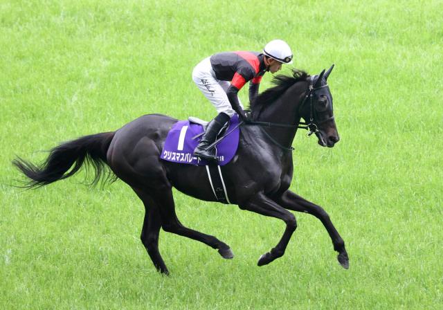 【クイーンS】クリスマスパレードが重賞2勝目をつかむ　陣営「札幌コースは合うのではと思います」