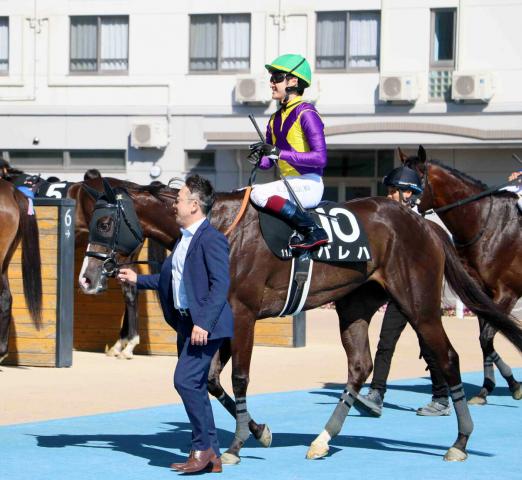 【クイーンS】デトックス効果が大きいパレハが3連勝を狙う　新谷調教師「温泉でリラックスしているみたい」