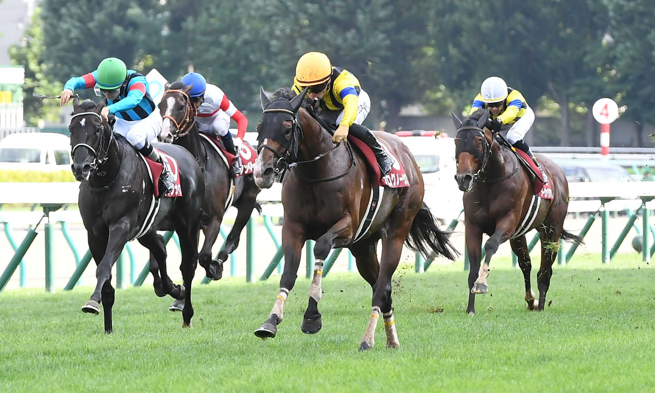 重賞３勝のプログノーシスが引退　今後は種牡馬入りする予定