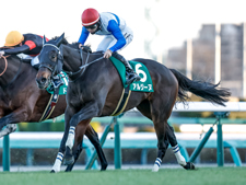 クイーンSに出走予定のアルジーヌ(撮影：下野雄規)