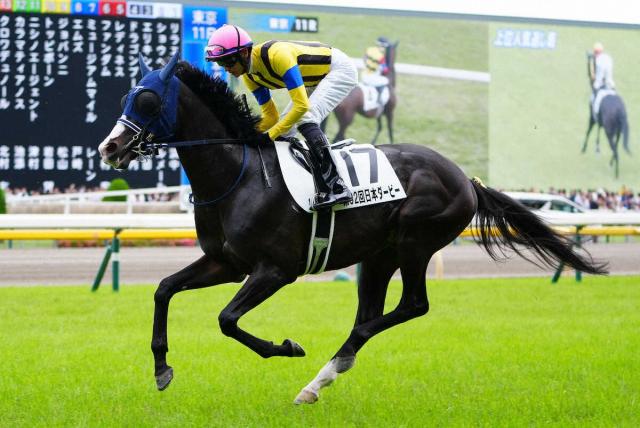 マスカレードボールは天皇賞・秋へ　クラシック最終戦・菊花賞はダービー1&2着が不在