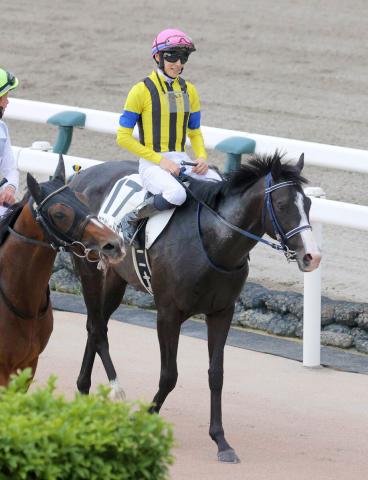 【注目馬動向】日本ダービー2着のマスカレードボールは天皇賞・秋での始動を目指す