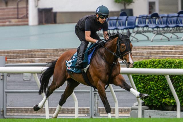 海外G1・2着4回プログノーシス引退…今後は種牡馬入りを予定