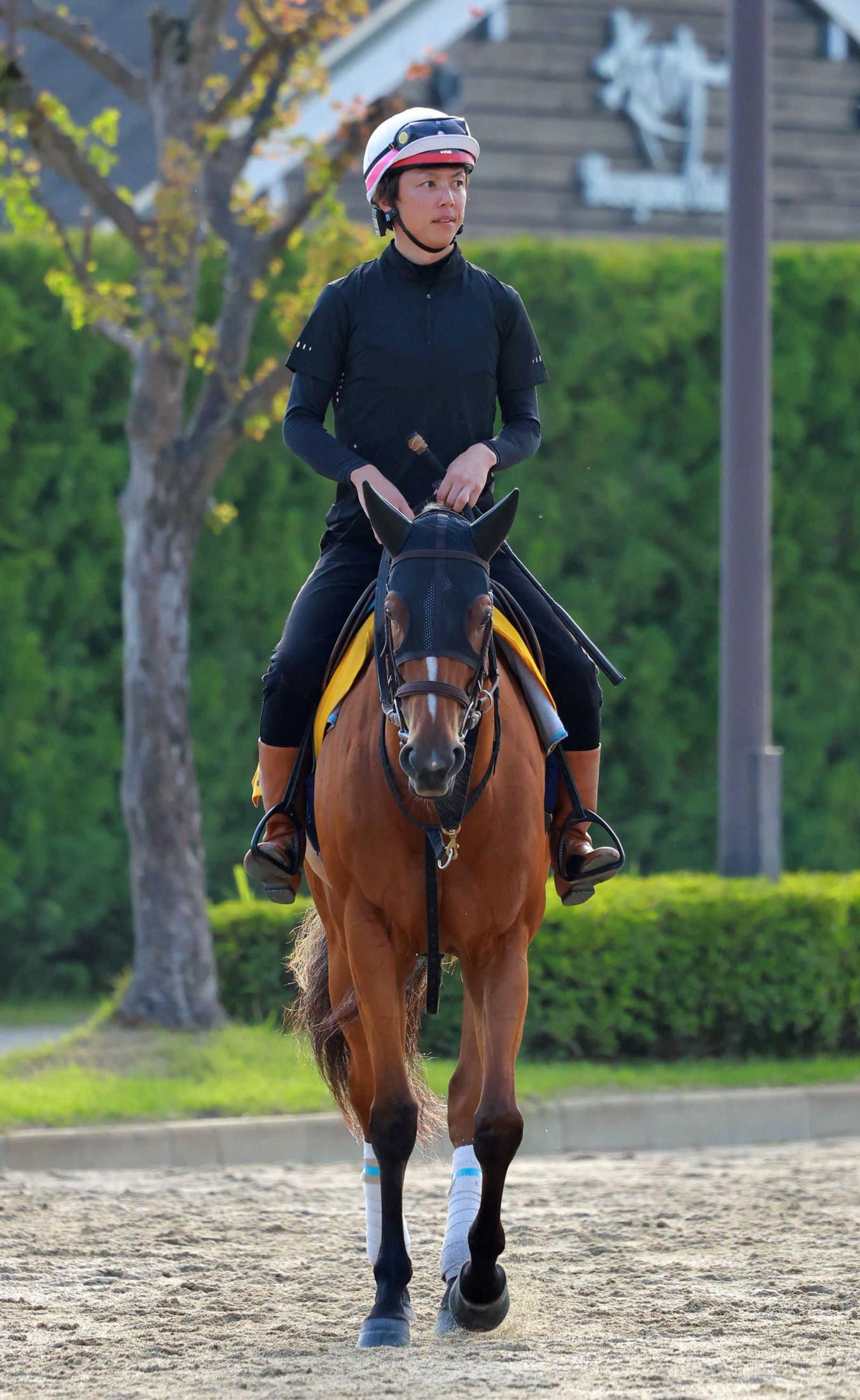 【アイビスＳＤ】ピューロマジック　夏の主役へ一直線　安田師「馬の後ろに入れて理解させるレースができれば」