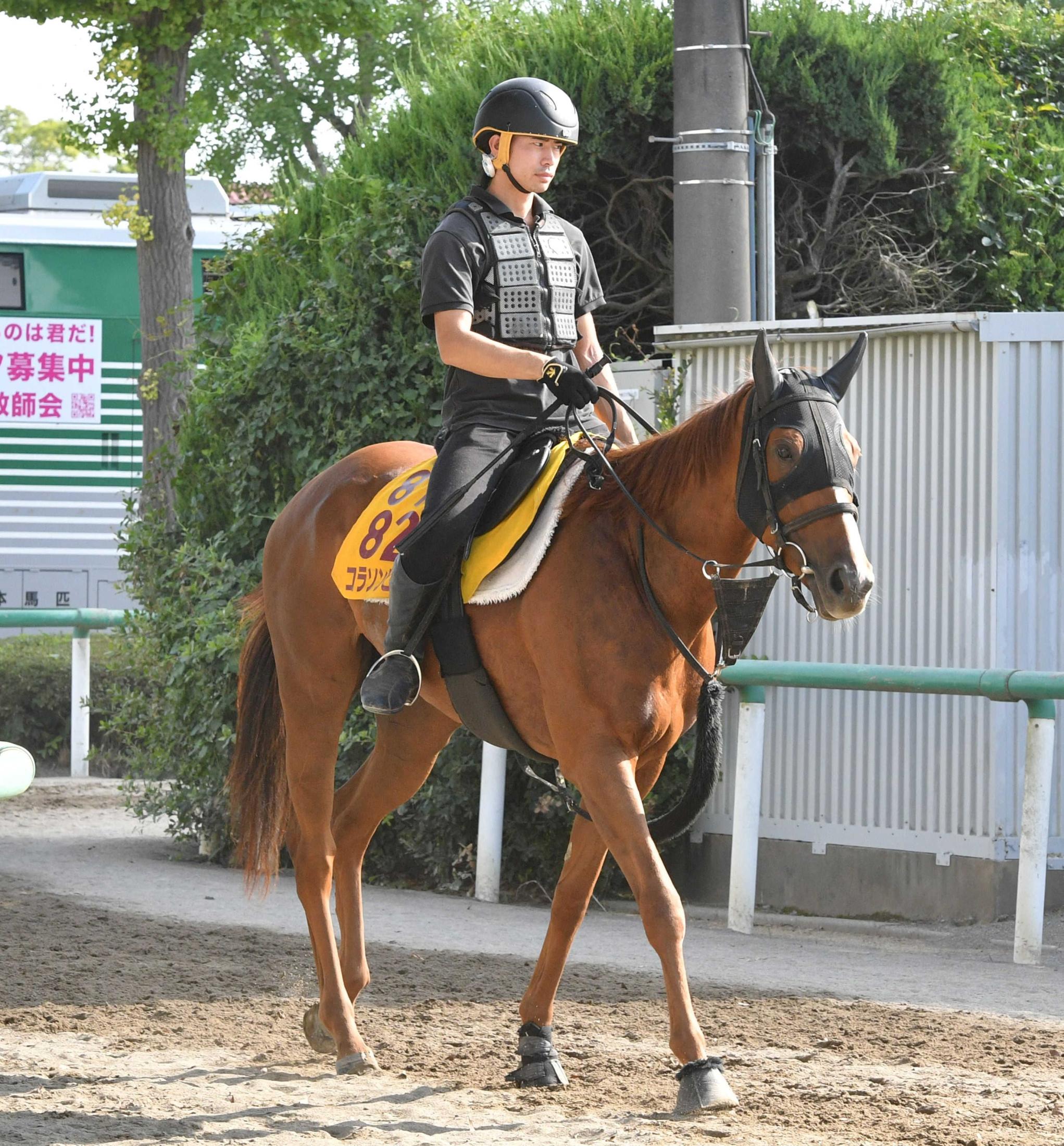 【アイビスＳＤ】データはコラソンビート　直線競馬最多１３勝・津村が導く「千直は合う」助言