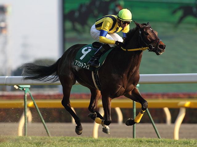 武豊騎手最軽量重賞勝利の一頭 アプリコットフィズのクイーンS勝利