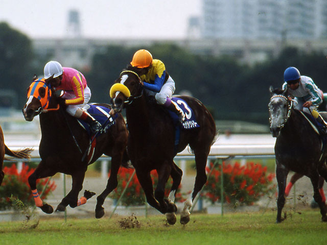 札幌競馬場開催初年度に魅せた逃げ切り トゥザヴィクトリーの勝利から25年