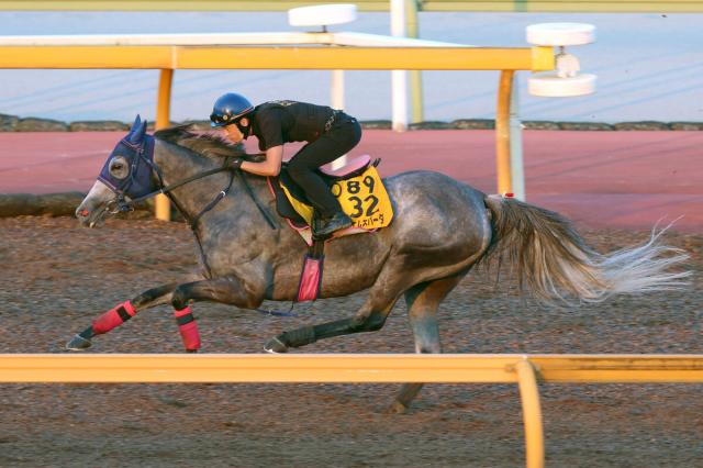 【アイビスSD】3厩舎での重賞V狙うテイエムスパーダは状態キープ　小椋調教師「今回も変わらずいい」