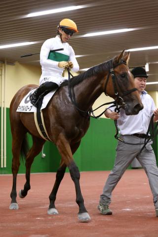 【注目馬動向】中京で新馬勝ちのマイケルバローズは中京2歳Sへ　関屋記念5着のシヴァースは京成杯AHを視野