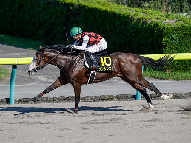 ケンシンコウの新潟重賞制覇から5年 7番人気で勝利した20年レパードS