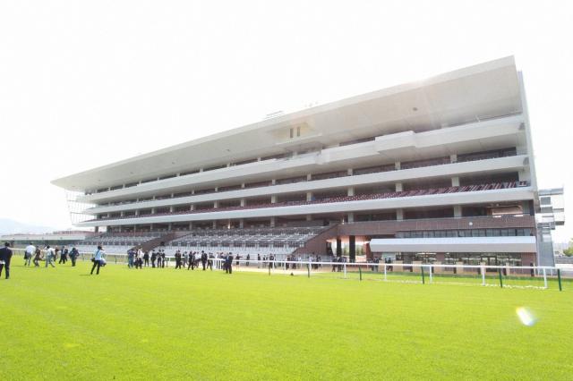 調教にも影響が…札幌競馬場も暑さ対策は急務