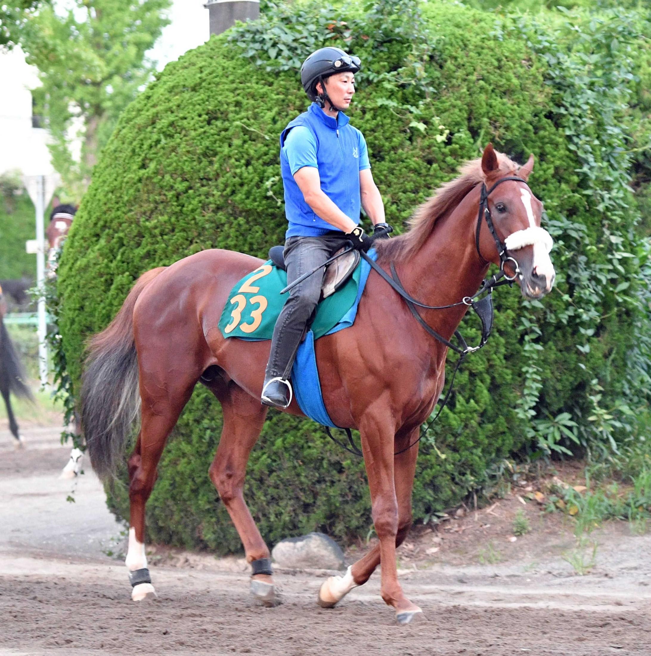 【新馬戦】アーモンドアイ２番子プロメサアルムンド　世界へＧＯ！国枝師「母とは違うタイプ」超良血馬がベールを脱ぐ