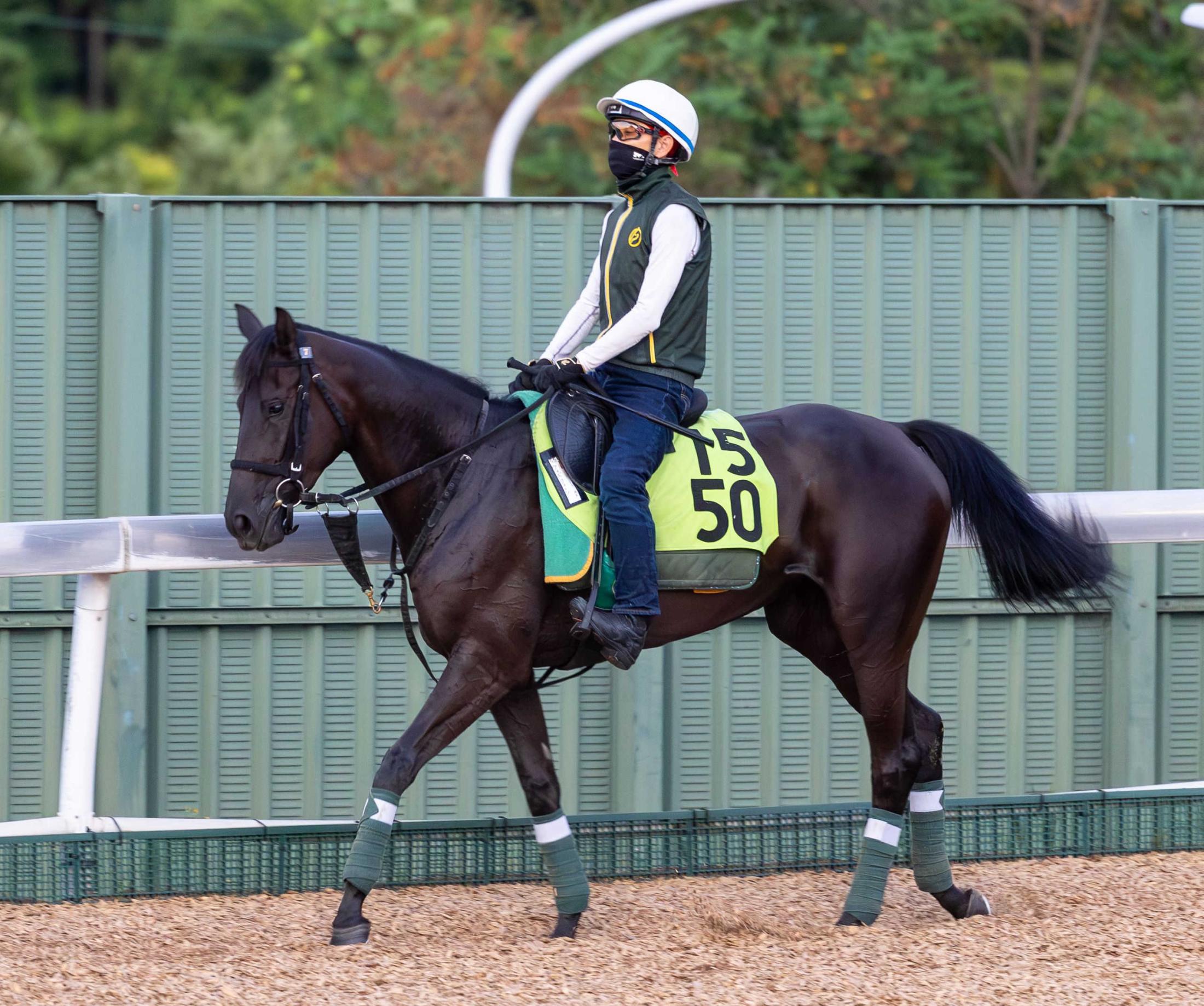 【新馬戦】ウィズクィーン　上村師が完成度の高さ評価「体も気持ちの方も、早くから走れていい」