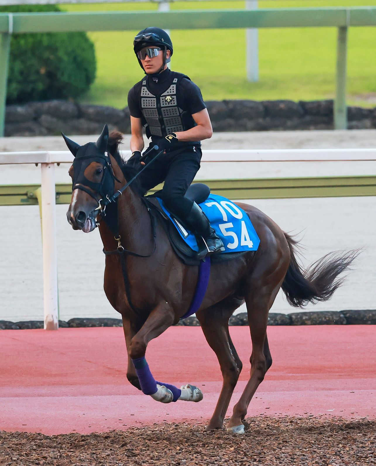 関屋記念５着のシヴァースは京成杯ＡＨへ