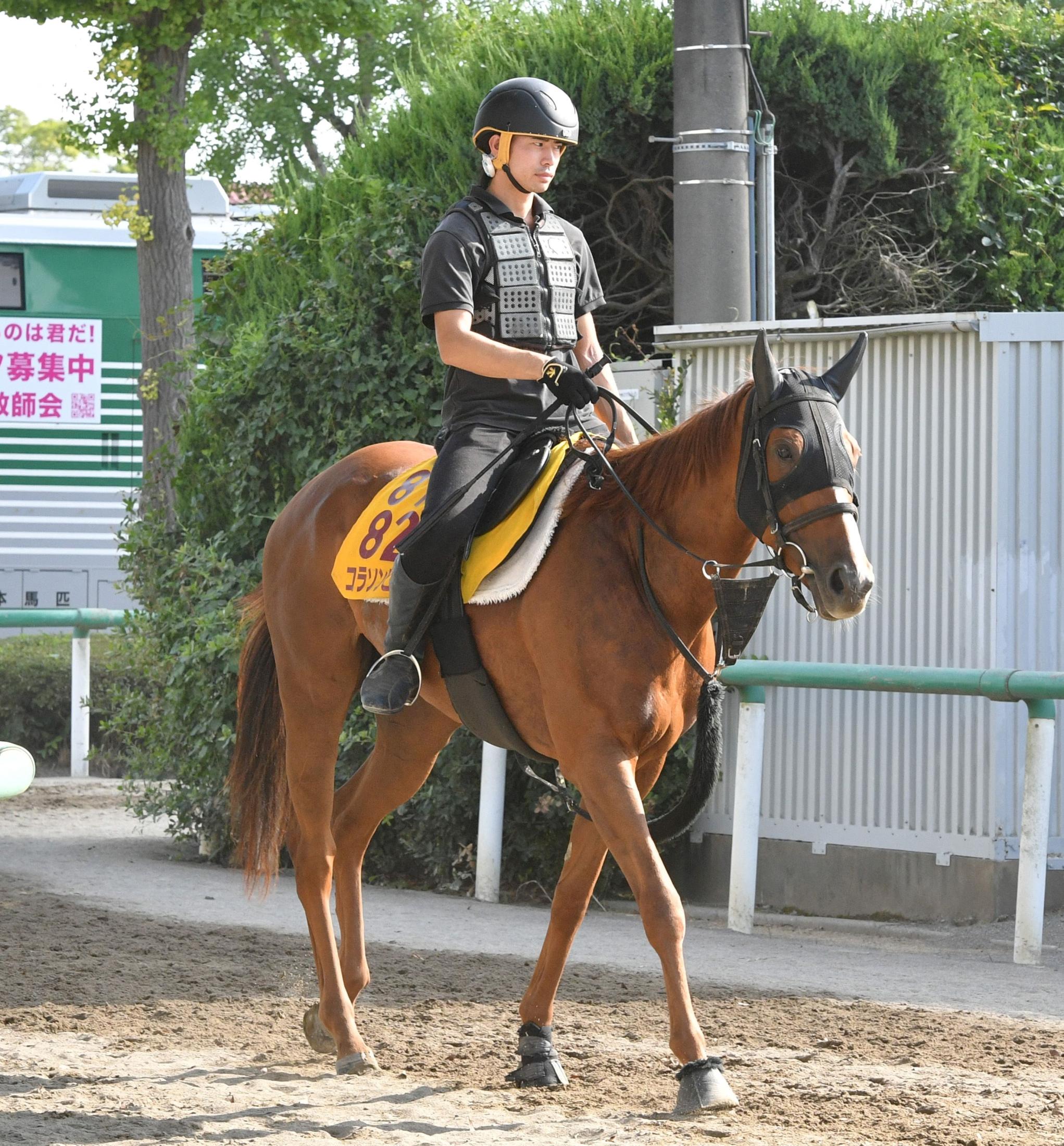 【アイビスＳＤ】コラソンビート　連続好走で復活だ　加藤士師「１０００メートルは合いそう」